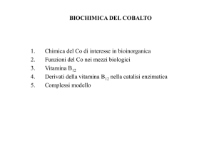 biochimica del cobalto