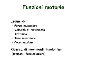 Braccia protese, prone e supine (prove di Mingazzini)