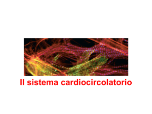 Cardiovascolare 1