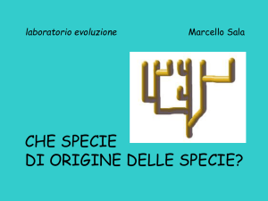 Presentazione di PowerPoint