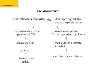 Diapositiva 1