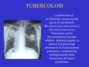 M. tuberculosis - Sezione di Microbiologia