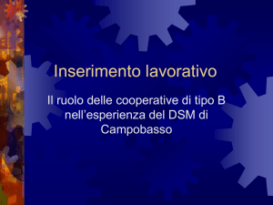 Inserimento lavorativo