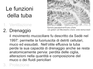 OME e ALLERGIA