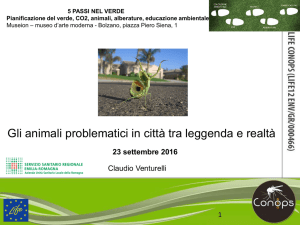 Diapositiva 1 - Pubblici Giardini