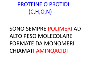 Diapositiva 1 - Elena Porzio