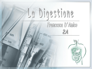 Diapositiva 1 - Scuola Secondaria 1° grado Balzico Cava de` Tirreni