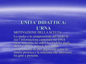 UNITA` DIDATTICA: RNA