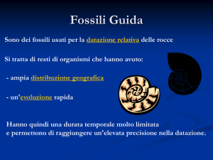 Fossili Guida - Liceo Classico V. Emanuele II di Jesi