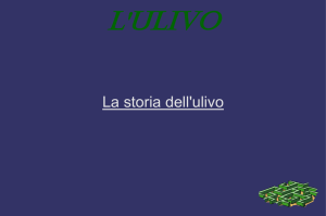 L`Ulivo - Istituto Comprensivo Raffaello Sanzio