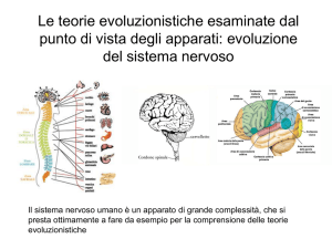evoluzione - Mirko Marangoni