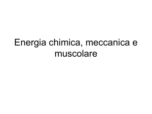 Energia meccanica e muscolare
