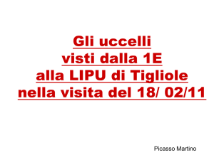 Gli uccelli della Lipu