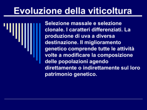 Evoluzione della viticoltura