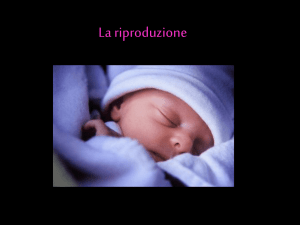 La riproduzione