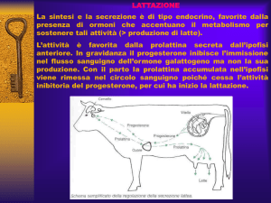 Presentazione di PowerPoint