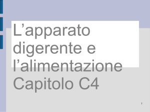 Diapositiva 1 - Scuole Valsesia
