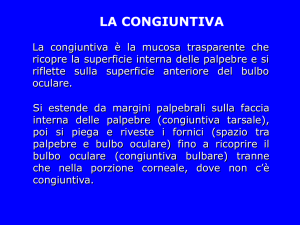 congiuntiva