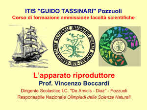 apparato riproduttore