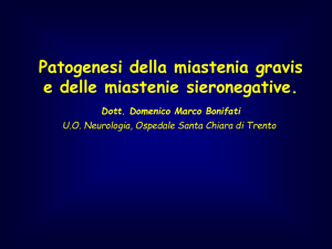 Presentazione di PowerPoint