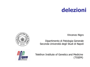 delezioni - vincenzonigro.it