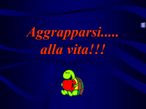 - miriam 12 stelle