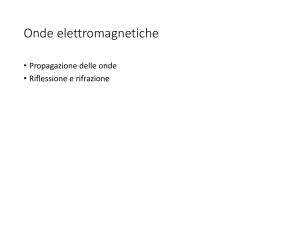 Luce - Macroarea di Scienze