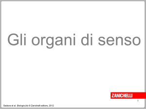 Diapositiva 1 - Scuole Valsesia