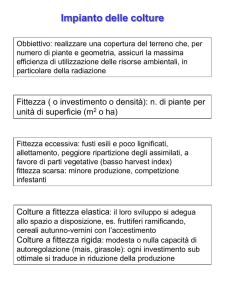 Semina e Diserbo