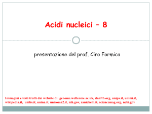 Acidi nucleici – 8