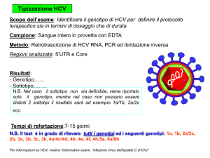 Tipizzazione HCV Scopo dell`esame