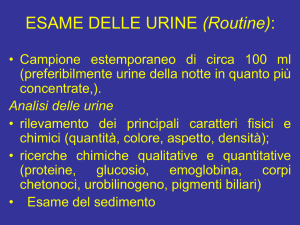 Diapositiva 1