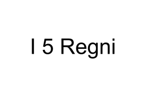 I 5 Regni - c@siniduepuntozero
