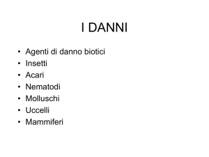 Presentazione di PowerPoint
