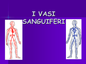 Arterie - Classi3webios