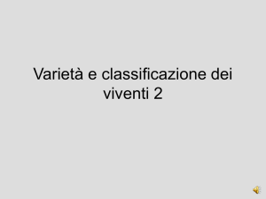 classificazione2