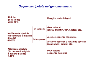Presentazione di PowerPoint