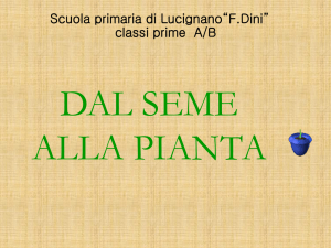 Dal Seme alla Pianta: Progetto Didattico per la Primaria