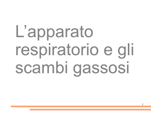 Diapositiva 1 - Scuole Valsesia