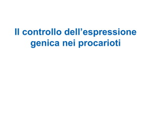 operoni