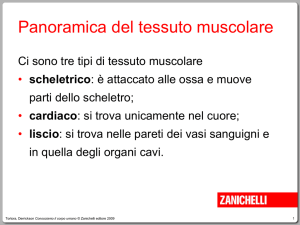 Presentazione di PowerPoint