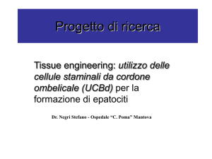 Tissue engineering - Cell Factory Mantova