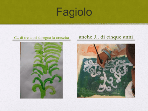 fagiolo
