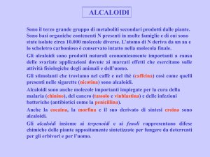 alcaloidi