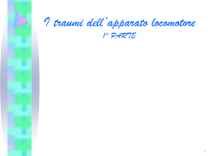 Una frattura esposta