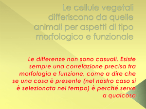 Le cellule vegetali differiscono da quelle animali per aspetti di tipo