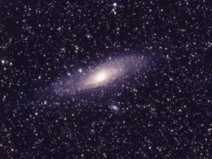 Le stelle - Scuole Maestre Pie Rimini