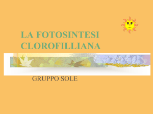 la fotosintesi clorofilliana - Istituto Comprensivo Statale di San Paolo