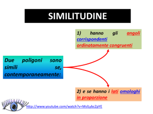 similitudini