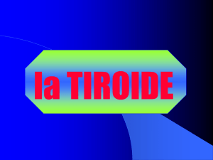 Tiroide. Patologia benigna e valutazione funzionale